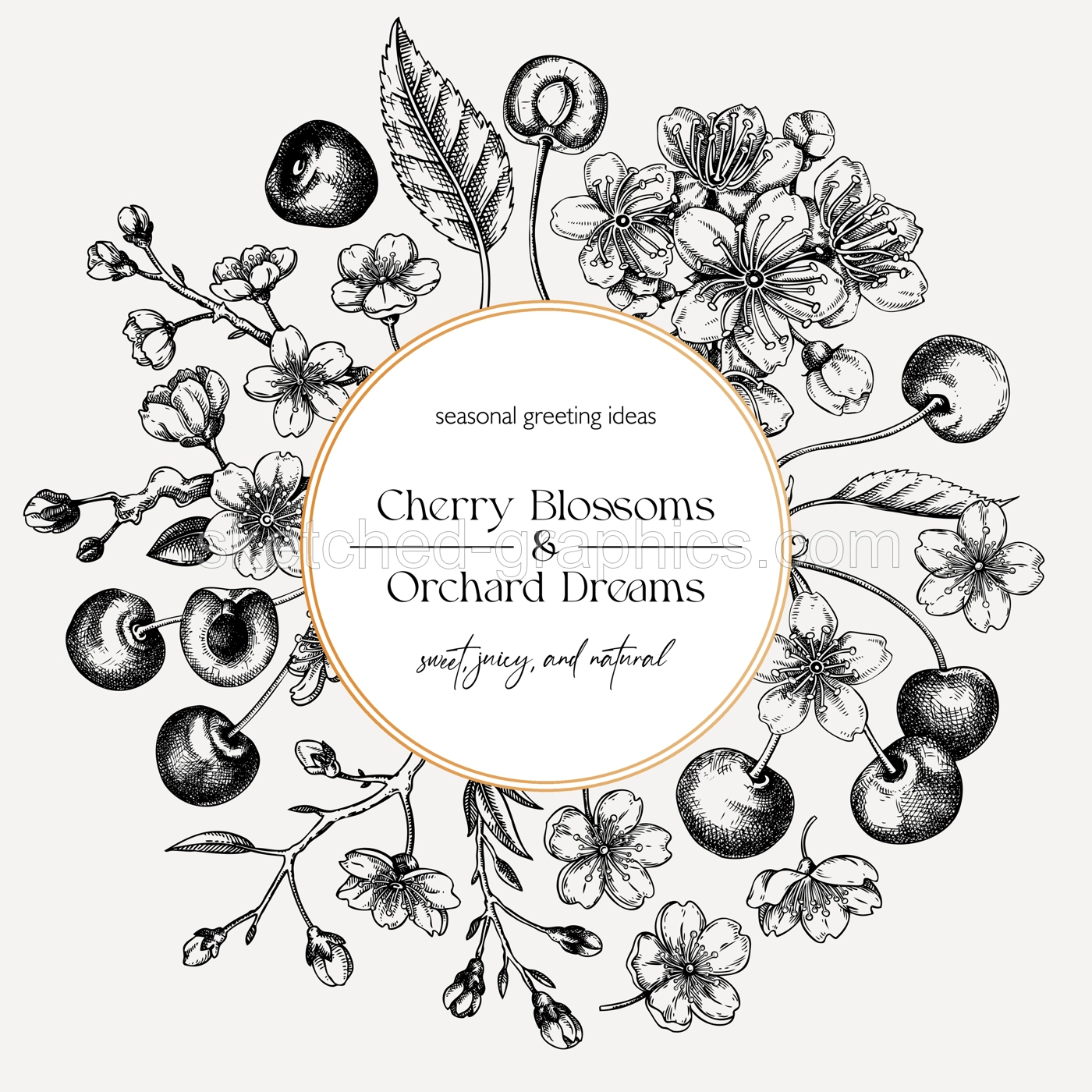 Summer greeting card, engraved style. Cherry blossom, sakura flowers, berry fruit hand drawn vector illustration. NOT AI generated Illustration
